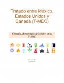 Tratado entre México, Estados Unidos y Canadá (T-MEC) Energía, desventaja de México en el T-MEC