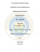 Ensayo lll Inversiones en TIC´s