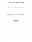 Análisis de curso “Modelos mentales “