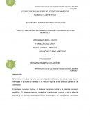 IMPACTO DEL USO DE LAS BEBIDAS ENERGÉTICAS EN EL SISTEMA NERVIOSO