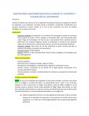 Adaptaciones anatomofisiológica durante el puerperio y valoración de enfermería