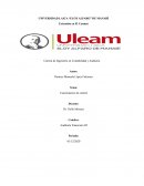 Dictamen de auditoria