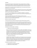 Adhesivos dentales. Caracteristicas del esmalte