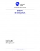 CASO N°4: REFRESCOS BENGOA