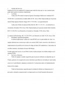 Instalación de la red completa de la empresa para todas las áreas que se van a construir para poder darle soporte al sistema a implementar