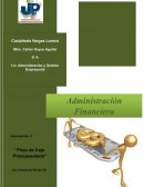 EJEMPLO DE FLUJO DE CAJA PRESUPUESTADO