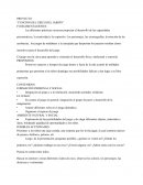 PROYECTO: “FUNCIÓN DEL CIRCO DEL JARDÍN”