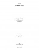 ENSAYO SEGUROS DEL ESTADO