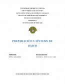 PREPARACIÓN Y SÍNTESIS DE DATOS
