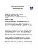 ORGANIZACIÓN ANATOMICA Y FUNCIONAL DEL SISTEMA MOTOR