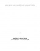 INFORME SOBRE EL CVUDES Y CARACTERÍSTICAS DE SU MODELO DE FORMACIÓN