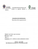 Naturaleza en las organizaciones