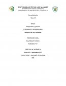 Temperatura y presión