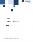 TALLER GREEN CHILE S.A