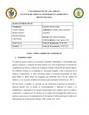 Simuladores de auditorías