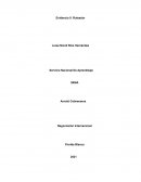 Evidencia 5: Ruteador