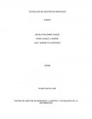 Plan de manejo ambiental