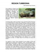 Articulo de opinion de la region Tumbesina