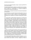 Interpretación DEL N-E-O- P-I-R . en adultos