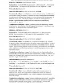 RESUMEN DE LAS 3 EMPRESAS (PEQUEÑA, MEDIANA Y GRANDE)