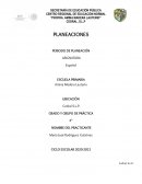 CEDRAL, S.L.P PLANEACIONES