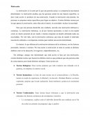 Motivación. ¿Explique los dos tipos de motivación y mencione cuál es su diferencia?