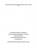 HABILIDADES PARA UNA COMUNICACIÓN ASERTIVA Y EFICAZ, CASO AKI TOY