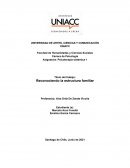 Reconociendo la estructura familiar