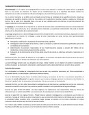 FUNDAMENTOS GEOMORFOLÓGICOS