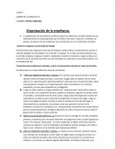 Organización de la enseñanza