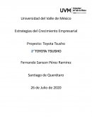Estrategias del Crecimiento Empresarial. Proyecto: Toyota Tsusho