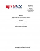 RESPONDABILIDAD PENAL PERSONA JURIDICA