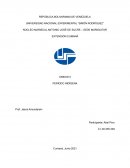 EXTENSIÓN CUMANÁ