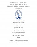 DESARROLLO INTERNACIONAL DE SERVICIOS