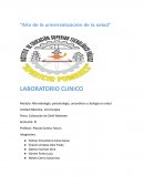 Practica de tinción de Gram