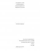 Departamento de Estructuras. CONCRETO ARMADO