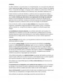 Artefactos según Edgard Schein