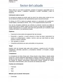 Análisis de mercado Sector del calzado