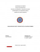 EVALUACIÓN DE COSTO Y PROYECTO DE LA PLANTA DE CUMENO