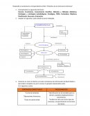 Didáctica de las Ciencias Económicas