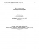 Análisis situacional de DUFER