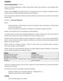 La ley en la Atenas Clásica (S V –IV a.C.)