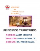 PRINCIPIOS TRIBUTARIOS
