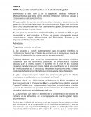 El papel del ciclo del carbono en el calentamiento global