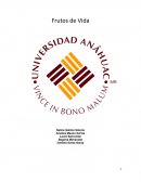Análisis de la competencia directa y de la marca. (Es indispensable hacer la investigación en el punto de venta)
