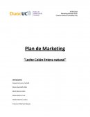 Plan de Marketing “Leche Colún Entera natural”