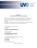Procesos Psicológicos Fundamentales