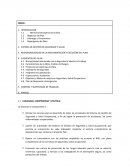 Seguridad y salud ocupacional
