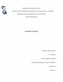 Análisis crítico de Capacidades Tecnológicas