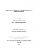 PROPUESTA DE ACTIVIDAD PEDAGOGICA PARA POTENCIAR UNA DE LAS DIMENSIONES HUMANAS